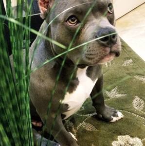 Meet your Posher, Lawrence